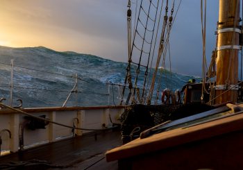 iStock-637341440-350×245 iStock-637341440-350x245